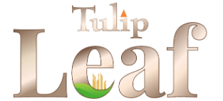 DLF New Town Heights