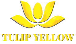 Tulip Yellow